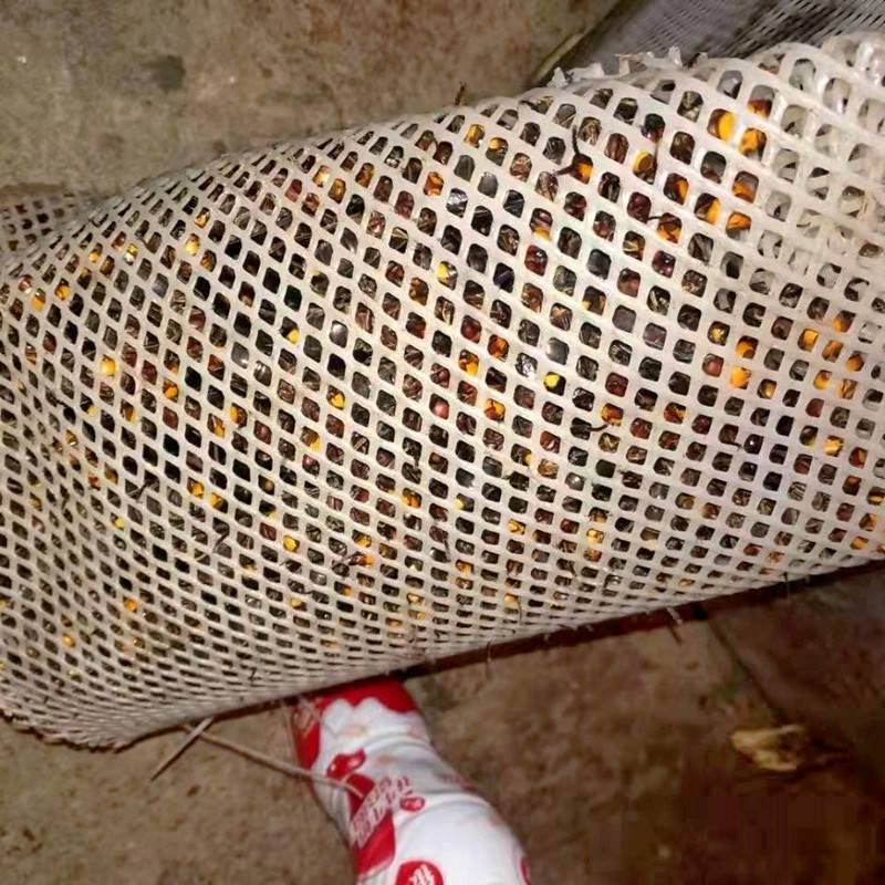 红娘蜜蜂活动区胡蜂养殖网防逃蜜蜂塑料网格防护3毫米小孔加厚网