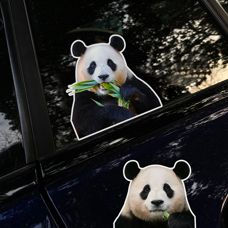 熊猫划痕遮挡遮盖汽车车贴装饰个性防水晒卡通可爱福宝创意贴纸