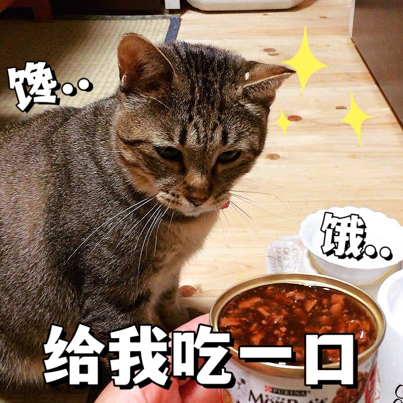 澳门代购日本PURINA普瑞纳金银装猫罐头酱煮烧汁海鲜蔬菜宠物湿粮