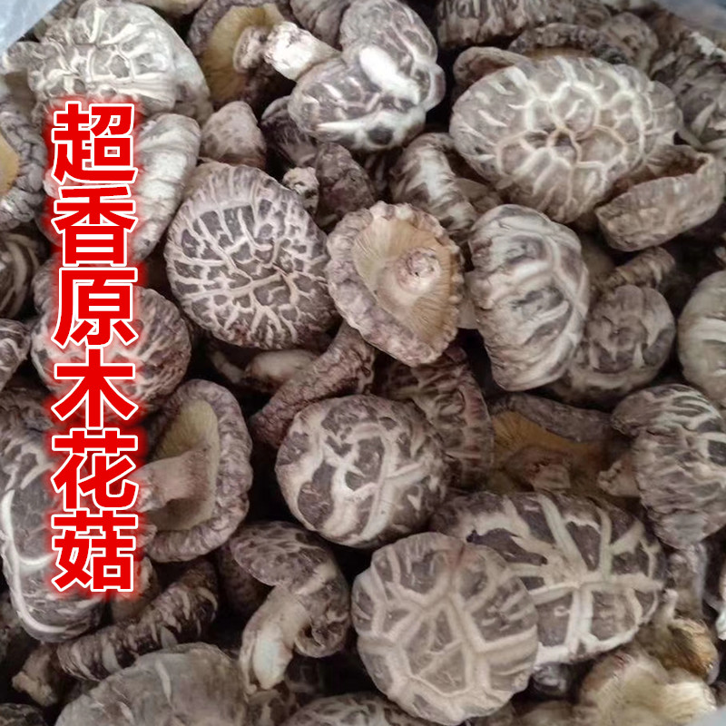 河源和平特产原木花菇500g农家野生包邮椴木冬菇香菇干货香味浓