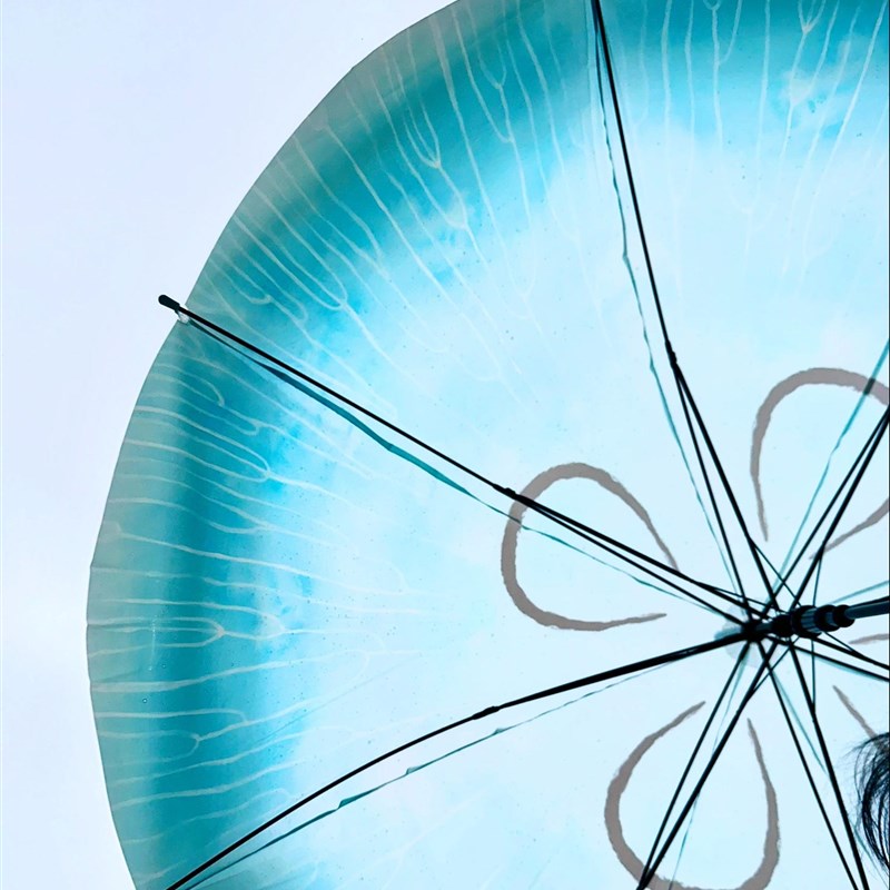 浮羽自动长柄伞 浪漫水母伞透明伞渐变水蓝色弯钩U直柄伞防水雨伞
