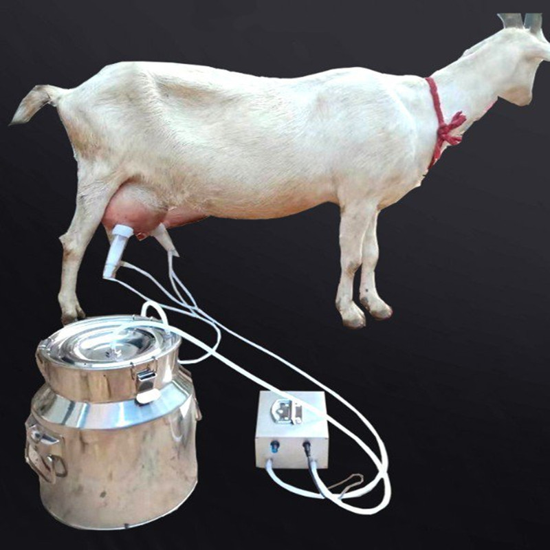 ,.新款奶牛用i电动便携式充电挤奶机可插电可小型家用羊奶吸奶器