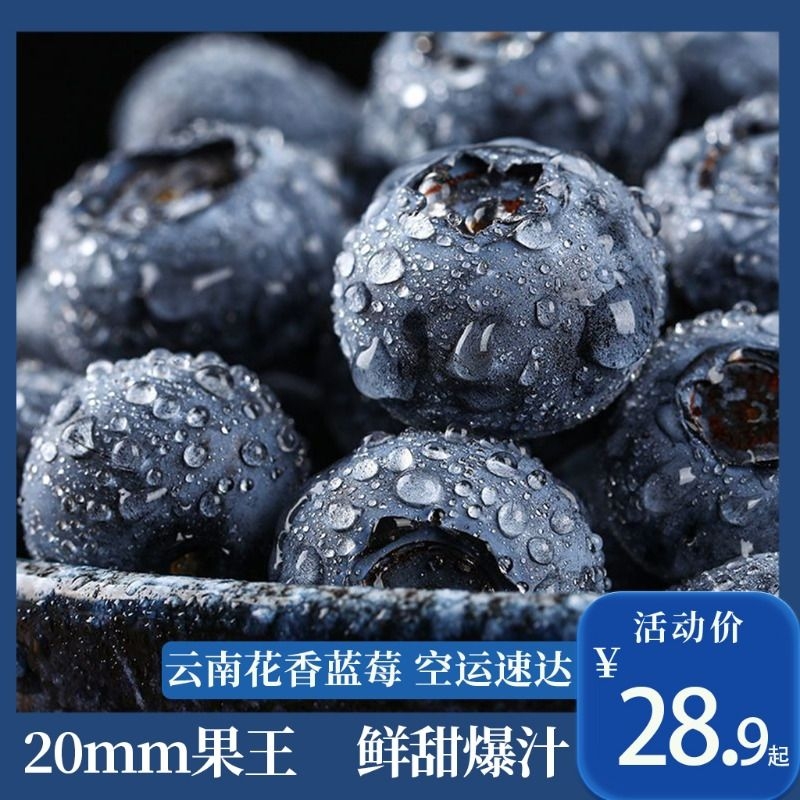 云南花香蓝莓皇后现摘当季水果鲜果 125g/盒 高山蓝莓大盒装包邮