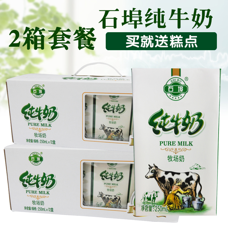 石埠纯牛奶250ml*12盒*2箱  石埠牛奶学生儿童营养牛奶成人早餐奶