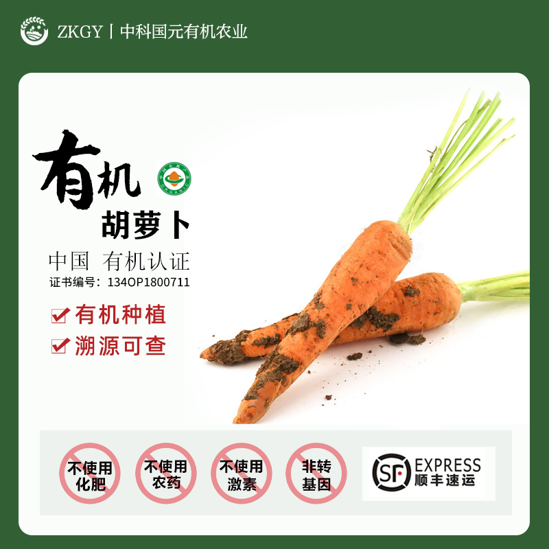 云南有机胡萝卜生吃水果胡萝卜宝宝辅食新鲜现挖蔬菜沙拉榨汁3斤