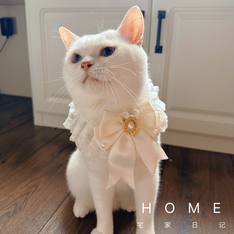 猫咪结婚装饰口水巾仙女猫宠物围脖公主风猫猫围嘴狗狗婚礼领结