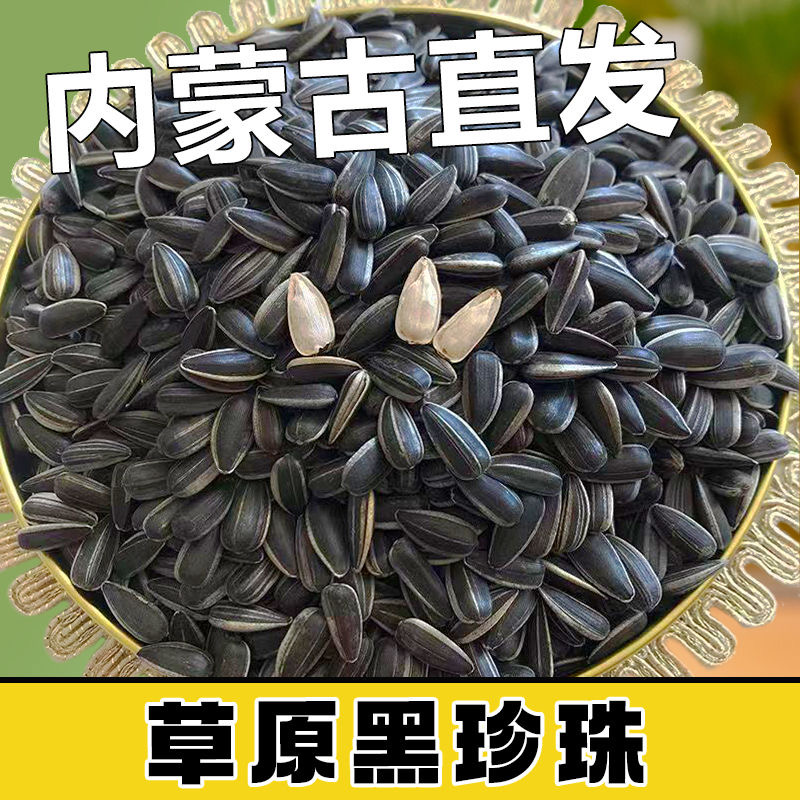 黑珍珠小油葵种子原味炒熟瓜子内蒙新货生油葵种籽小瓜子零食小吃