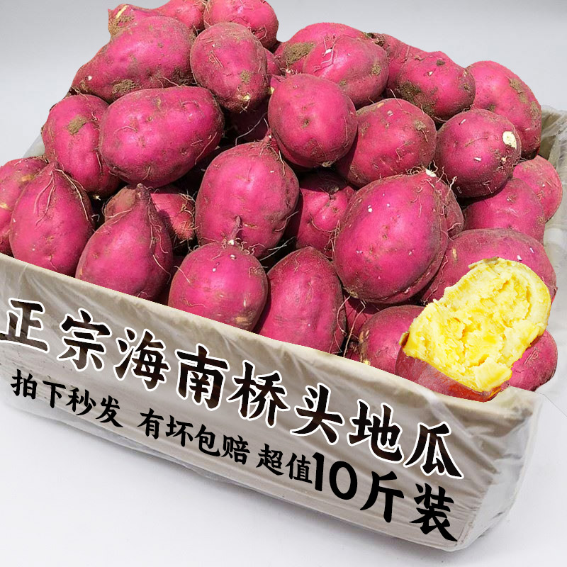 海南澄迈桥头地瓜富硒板栗番薯9斤装新鲜农家自种沙地黄心红薯10