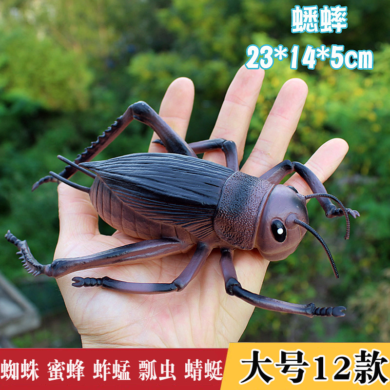 大号儿童玩具仿真动物昆虫模型摆件蟋蟀瓢虫蜘蛛蝎子虫子男孩塑胶