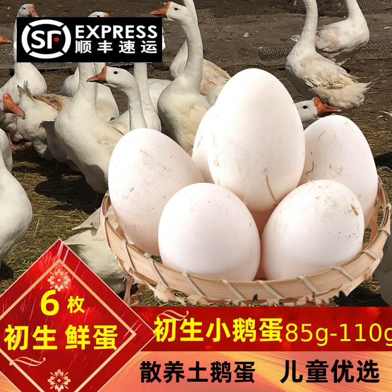 顺丰包邮精品鹅蛋新鲜孕妇6枚农家散养现发土鹅蛋初生蛋一箱