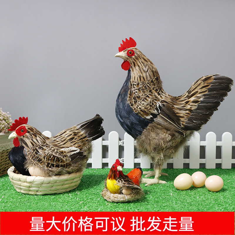 仿真鸡模型玩具假母鸡大公鸡摆件下蛋土鸡小鸡玩偶孵蛋鸡家禽动物