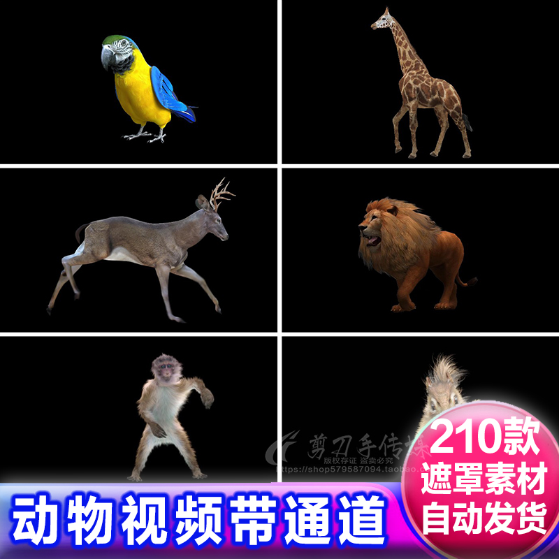 野生动物带通道飞禽鱼牛马鸟鹿老鼠昆虫 3D动画免抠遮罩视频素材