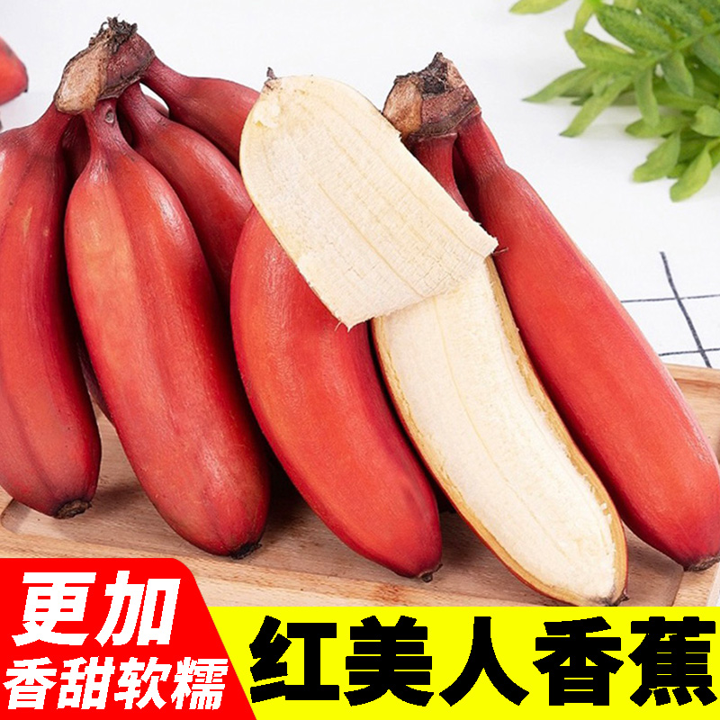 正宗福建/广西红美人香蕉 新鲜特级红皮孕妇水果食品 精选大果