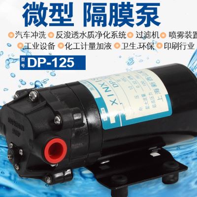 新西山DP125隔膜泵工业清洗机增压泵RO膜工程橡胶塑料高压隔膜泵