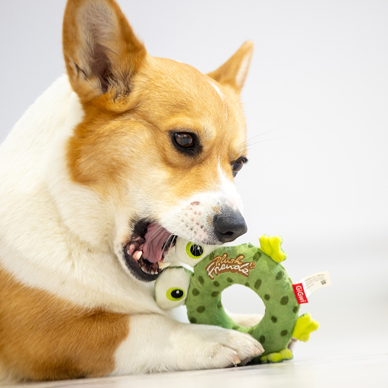 GiGwi贵为甜甜圈狗狗玩具毛绒橡胶玩具小狗发声磨牙耐咬宠物玩具