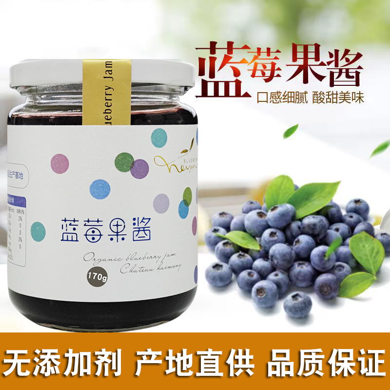 【2023年12月生产】禾韵蓝莓果酱170g蓝莓酱烘焙营养无添加果泥
