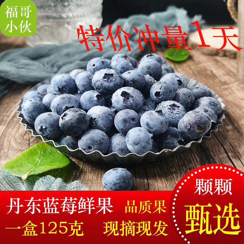 丹东蓝莓鲜果大蓝梅孕妇水果H5宝宝辅食新鲜当季采摘非野生超大果