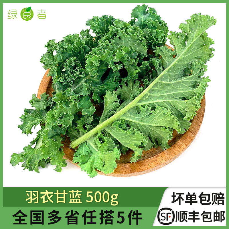 绿食者 羽衣甘蓝500g 新鲜蔬菜嫩叶芥蓝菜kale沙拉食材榨汁蔬菜