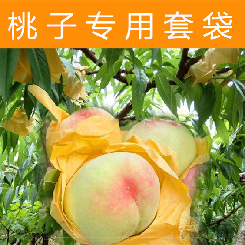 桃子专用套袋桃袋油桃毛桃黄桃套袋透气水果套袋果袋水蜜桃袋防虫