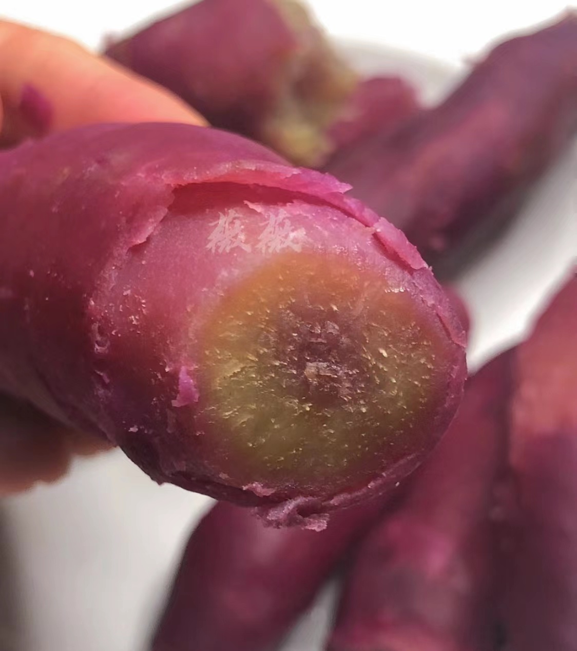 广州正宗南沙一点红番薯紫皮黄心香甜板栗红薯5斤包邮