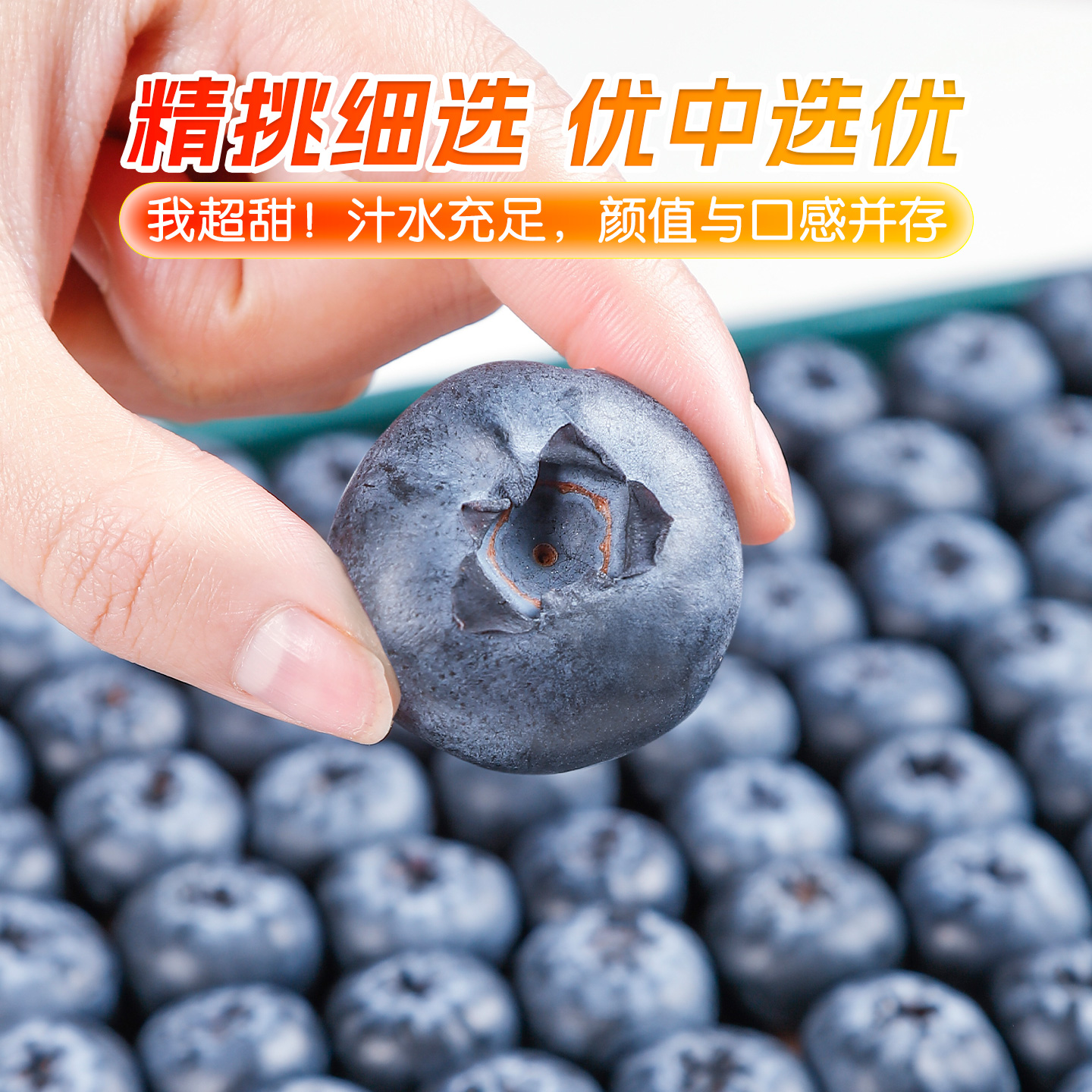 丹东蓝莓鲜果新鲜水果当季孕妇宝宝野生高山特大果蓝莓整箱辅食