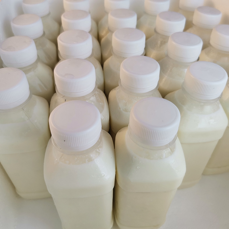新鲜现挤羊奶儿童孕妇老人早餐高钙无添加纯羊奶粉有机益生菌鲜奶
