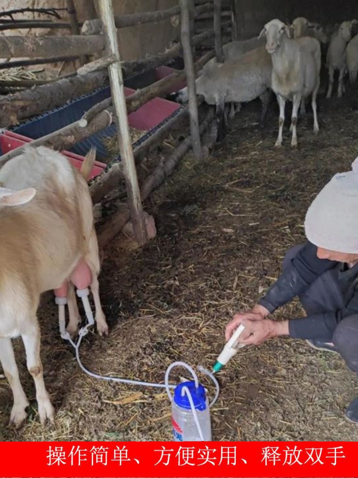 新品吸羊奶器牛羊用奶抽子手动小型电动挤羊奶器全自动新款挤羊奶