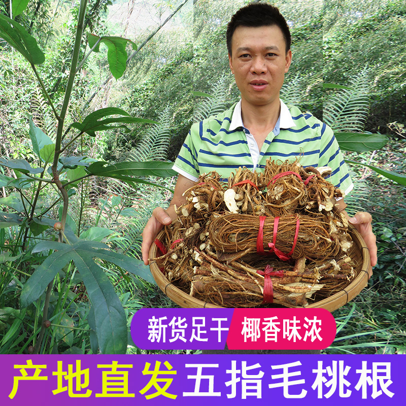 野生五指毛桃根炖鸡五爪牛奶根河源特产广东煲汤材料新鲜干货500g