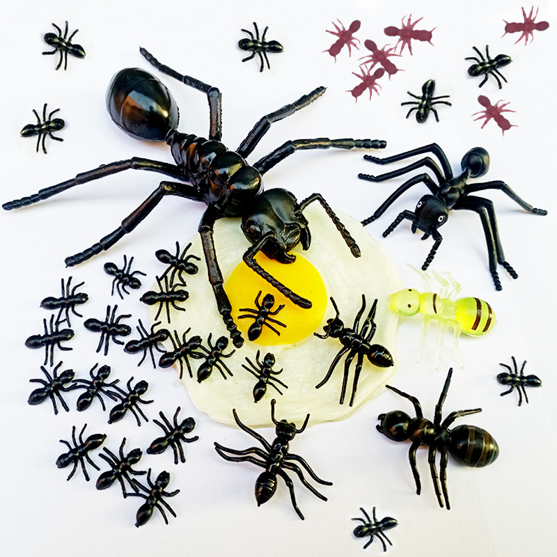 仿真虫子软胶蚂蚁模型工蚁红蚁儿童玩具蛊惑昆虫教学影视道具造景