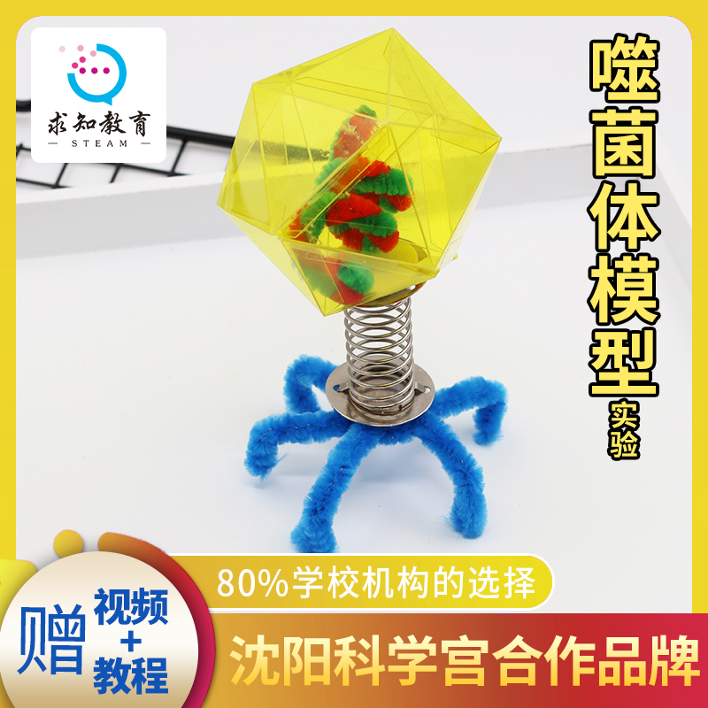 求知教育小学DIY手工科技小制作小发明材料噬菌体模型科学小实验