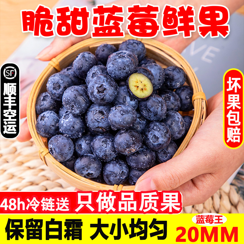 顺丰丹东宝宝蓝莓当季新鲜水果现摘中果蓝莓4/6/8盒一整箱