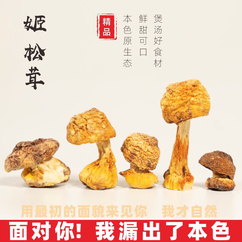 姬松茸干货级新鲜特云南特产精选野生松茸菌巴西菇蘑菇菌菇炖煲汤