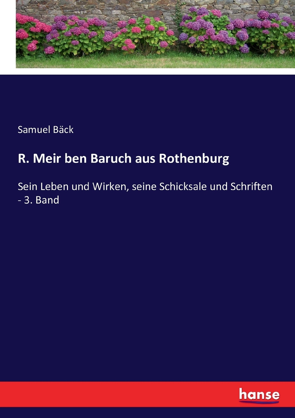 预售 按需印刷R. Meir ben Baruch aus Rothenburg德语ger