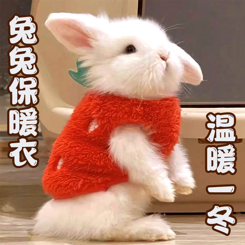 给小兔子冬天穿的衣服过冬用品多巴胺护肚子垂耳侏儒专用保暖加厚
