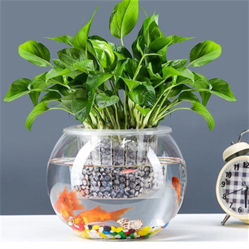易萌桌面鱼缸小型创意金鱼缸圆形玻璃鱼缸家用客厅鱼缸水培容器玻