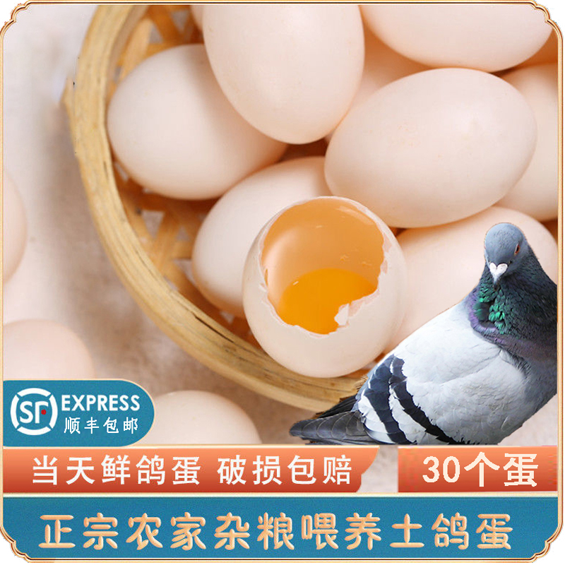 新鲜鸽子蛋30枚装精选农家散养信白鸽蛋孕妈宝宝辅食特产顺丰包邮