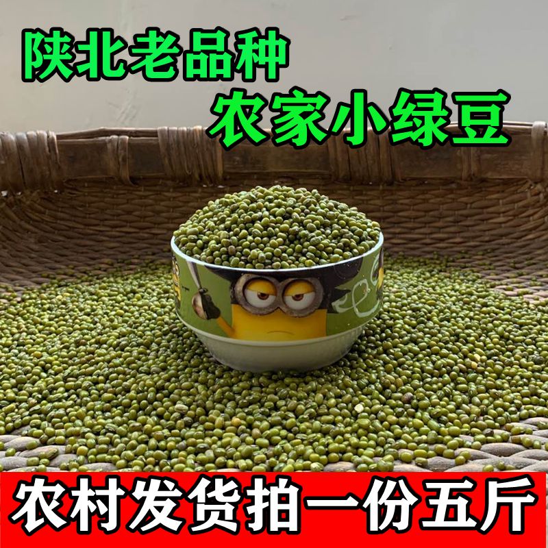2023新绿豆汤陕北农家自产发芽小绿豆解暑绿豆粥新鲜优质粗粮5斤