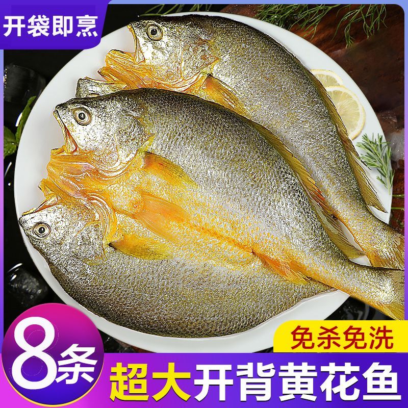 丽丽姐的厨房同款海肴膳醇香黄鱼鲞宁德霞浦大黄鱼黄瓜鱼300-350
