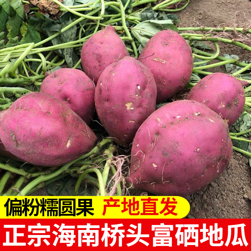 【圆果】海南澄迈沙地桥头特产富硒地瓜新鲜农家番薯板栗红薯蔬菜