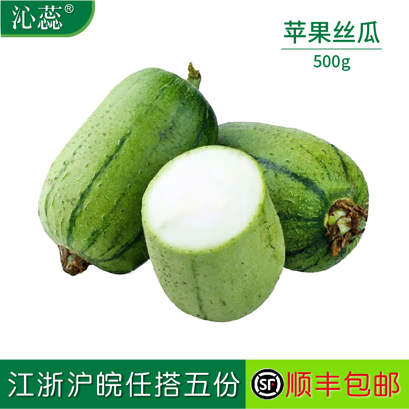 【沁蕊】新鲜苹果丝瓜500g圆胖肉丝瓜甜脆滑嫩 新鲜蔬菜