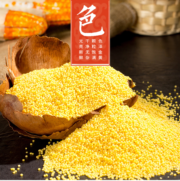 2023年新米内蒙古小米农家黄小米吃的米食用粥赤峰产品月子米5斤