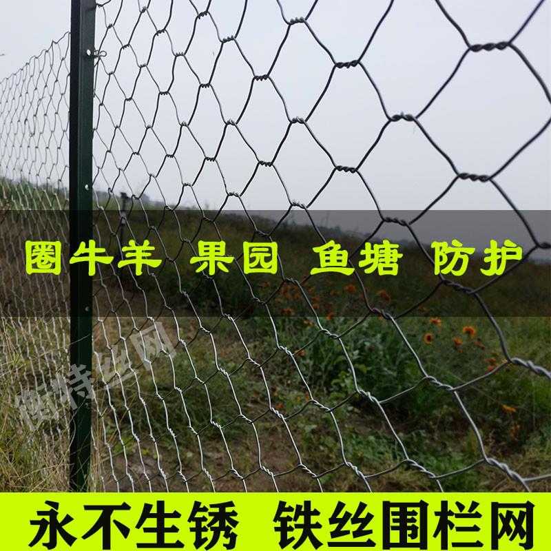 镀锌拧花网六角网隔离网铁丝网养殖防护围栏网钢丝网圈牛羊护栏网