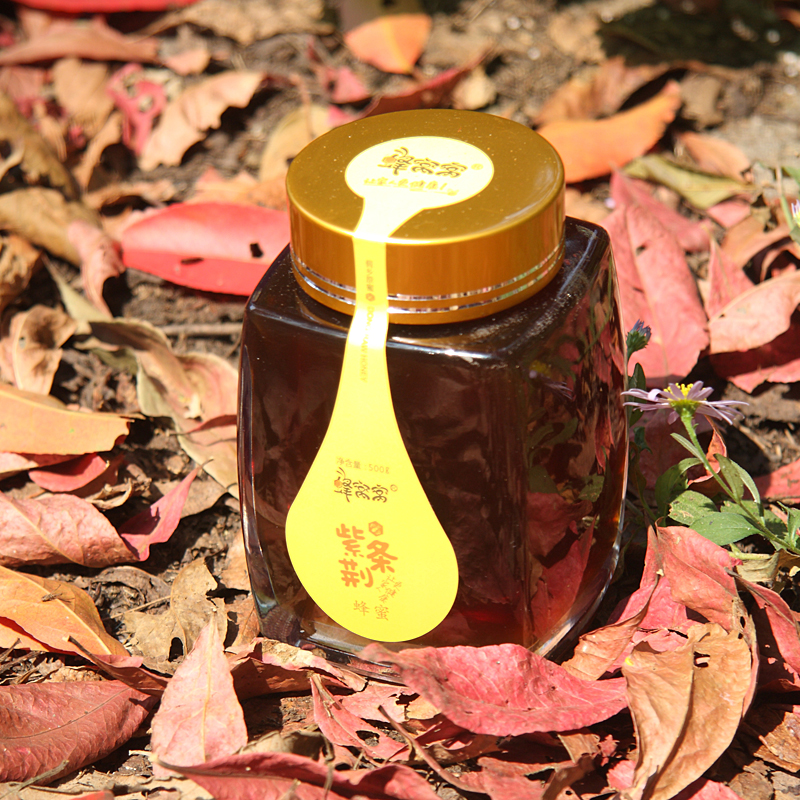 蜂窝窝天然成熟荆条蜜500g瓶装纯正天然农家孕妇儿童食用蜂蜜
