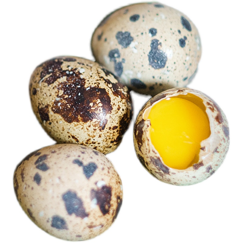 农家杂粮喂新鲜鹌鹑蛋100枚鹌鹑蛋生蛋鹑鸟蛋宝宝辅食 整包邮