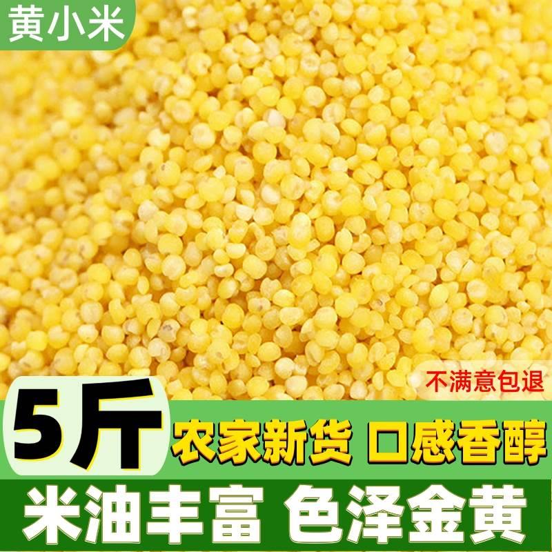 黄小米新米有5斤真空小黄米农家米脂月子米五谷杂粮糯小米早餐米