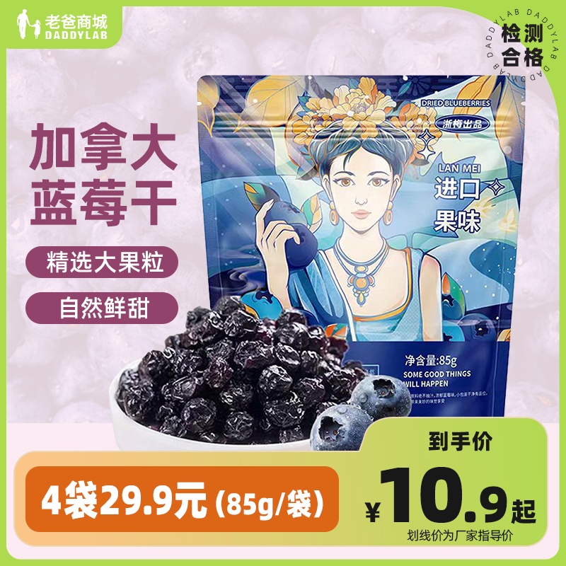 老爸评测浙梅加拿大蓝莓干果干果脯蜜饯零食独立包装工厂发