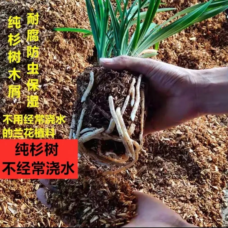 【15升懒人省心兰土一大包买一送一】通用型兰科透气营养土植料