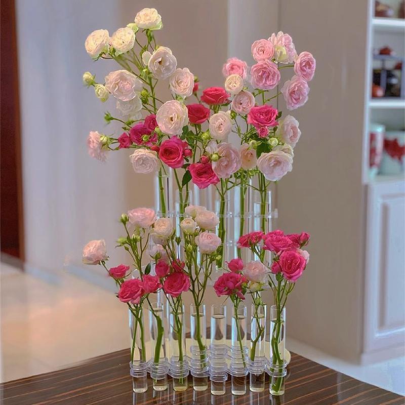 一排花瓶网红爆款玻璃试管花瓶适合餐桌摆放的绿萝水养瓶客厅摆件