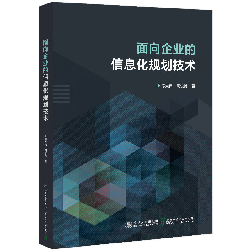 面向企业的信息化规划技术 陈光伟，周俊鑫 清华大学出版社
