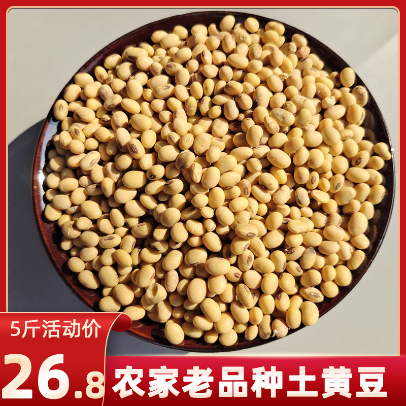 重庆石柱特产椭圆形老品种本地大豆农家自种土黄豆新豆5斤农产品